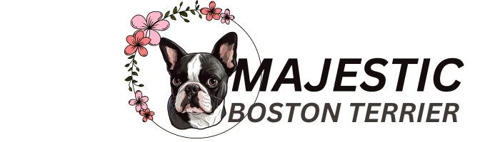 Majestic Boston Terrier 